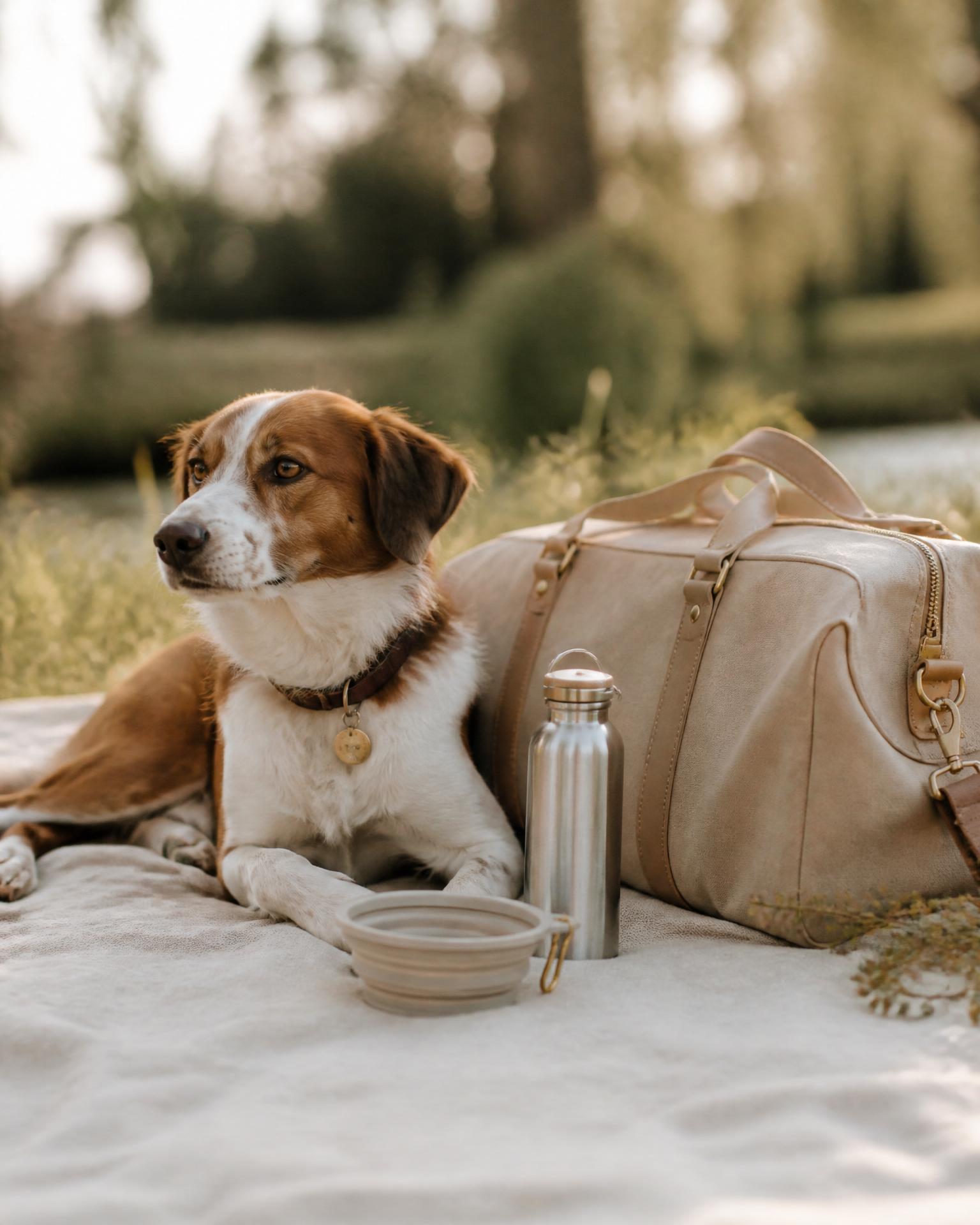 Outdoor & Reise